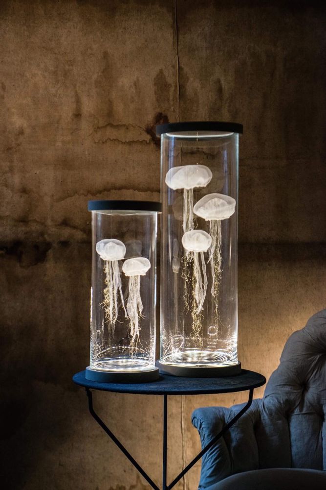 Lampes à poser - Lampe MEDUSE GM & PM - VOX POPULI COMPAGNIE