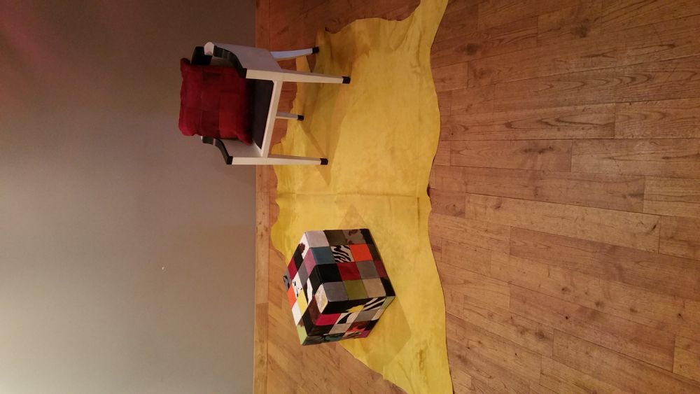 Autres tapis - TAPIS DE DECORATION - DUMAS TANNERIE