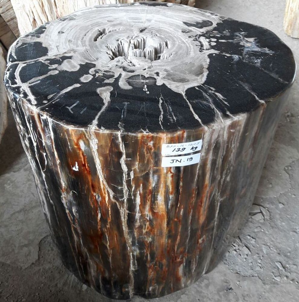 Sinks - Petrified wood furnitures - WILD-HERITAGE.COM