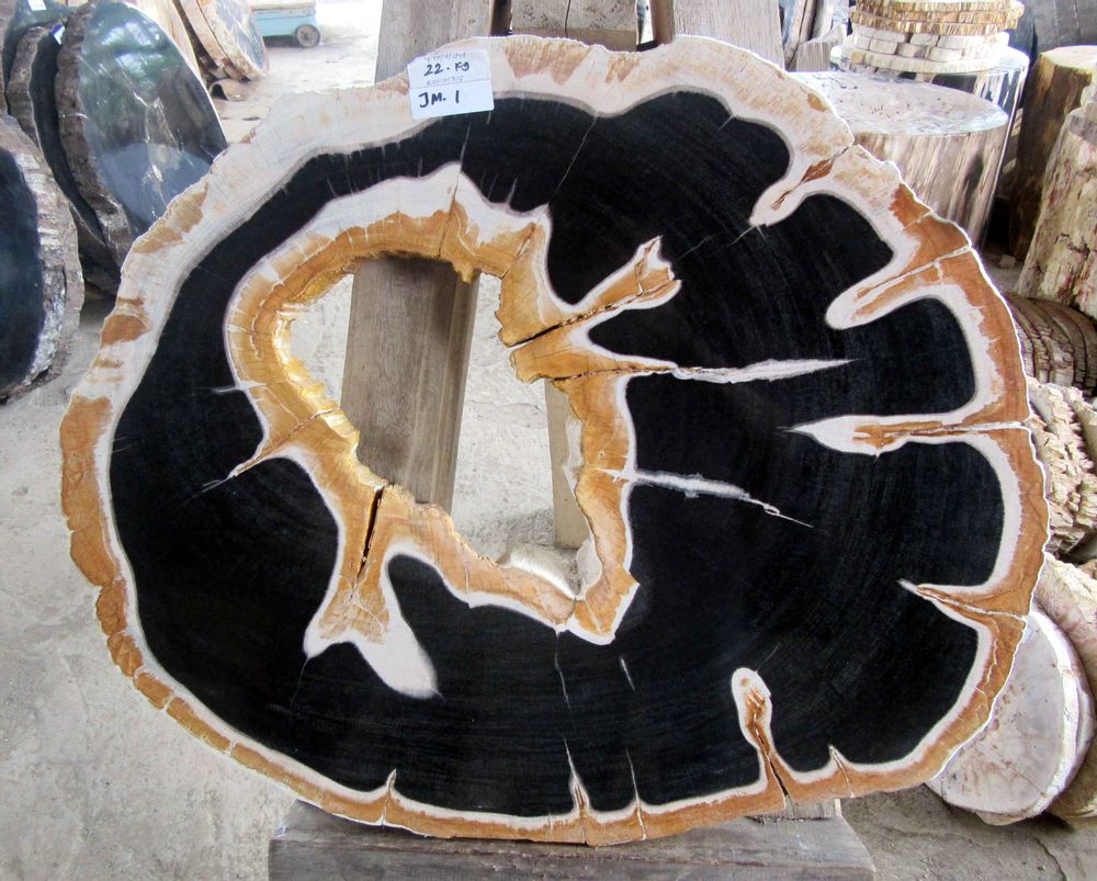 Sinks - Petrified wood furnitures - WILD-HERITAGE.COM