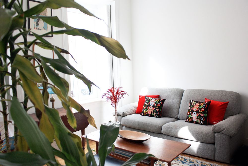 Fabric cushions - LUK - MY FRIEND PACO
