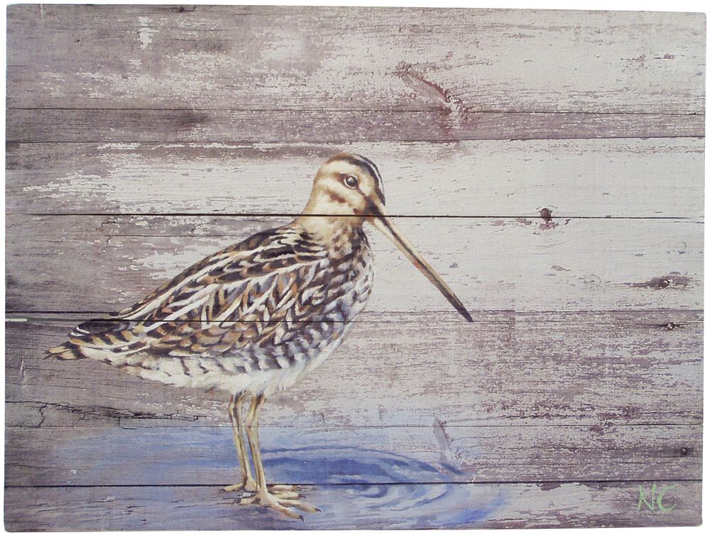 Objets de décoration - Oiseau, marmotte, loup, lapin, écureuil - TRADE WINDS