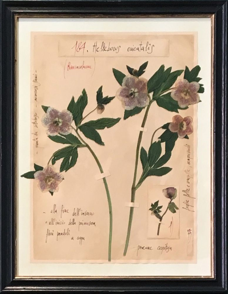 Objets de décoration - Table d'herbier fait main - OFFICINA NATURALIS