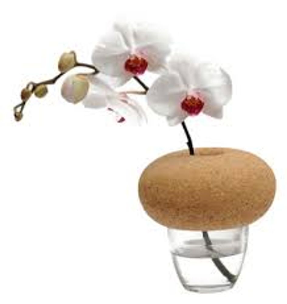 Design objects - CANTINE - Y A PAS LE FEU AU LAC