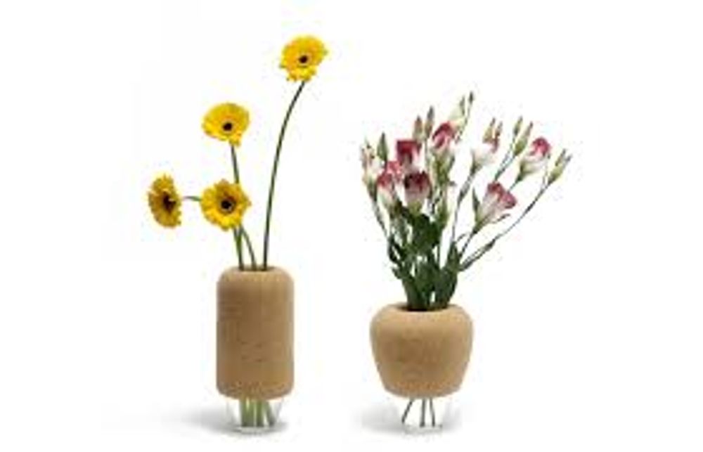 Design objects - CANTINE - Y A PAS LE FEU AU LAC