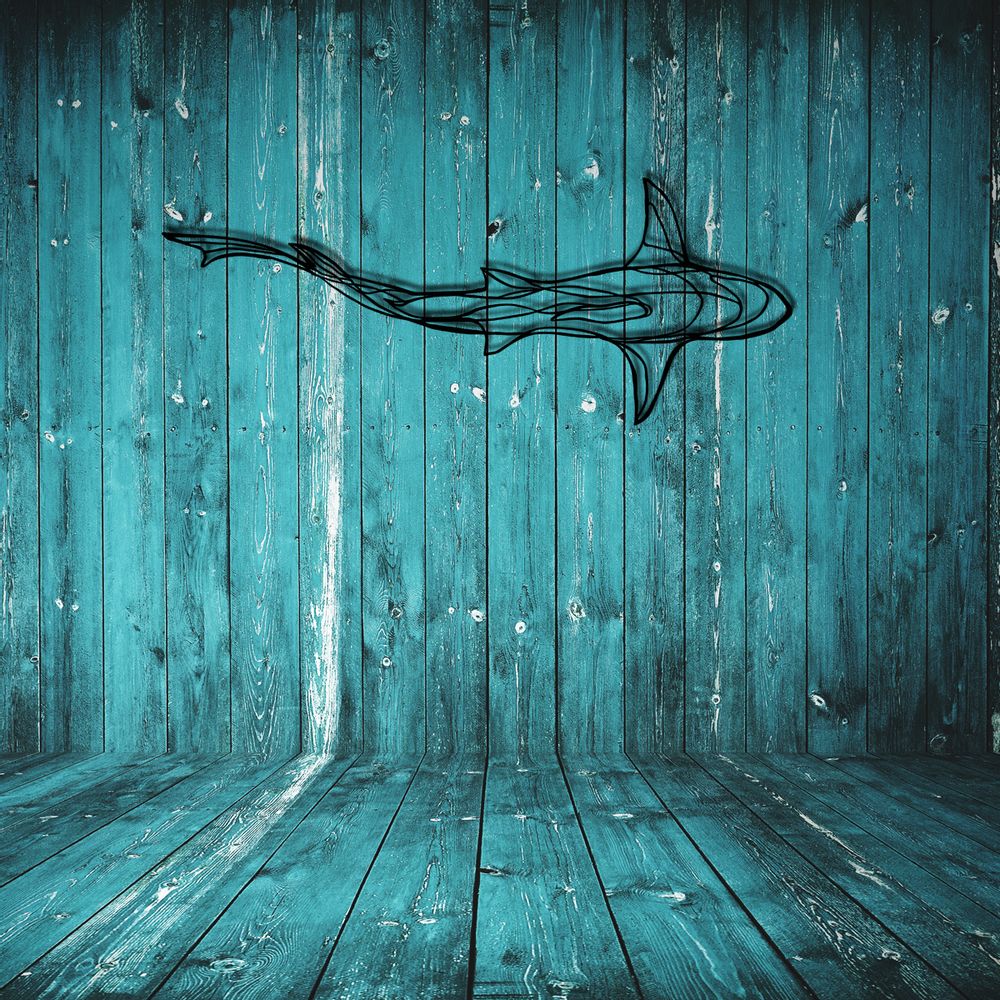 Other wall decoration - SHARK - HU2 DESIGN & ART