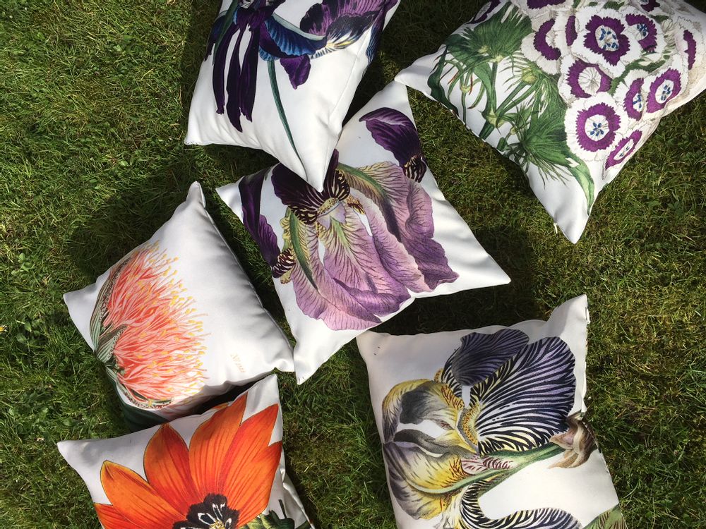 Cushions - Small square pillows - OLDREGIME