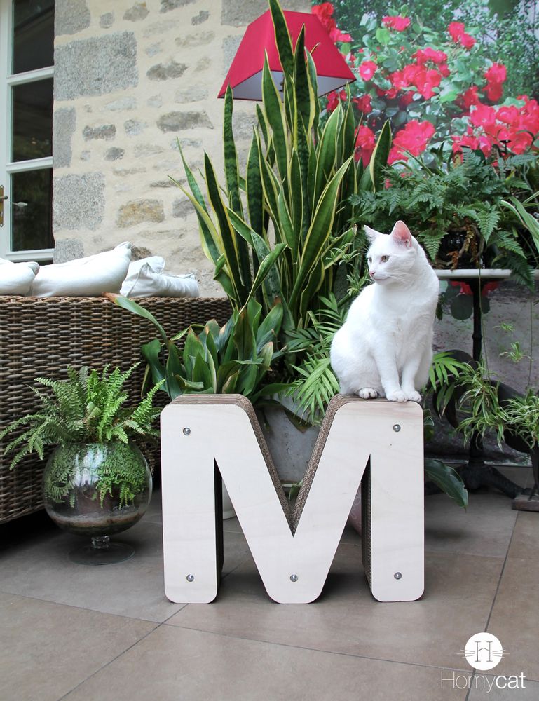 Objets design - Lettre M - HOMYCAT DÉCO POUR CHATS