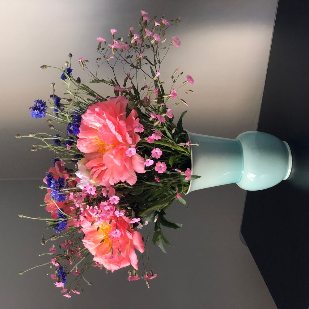 Decorative objects - HB-Varius Vases - HEDWIG BOLLHAGEN