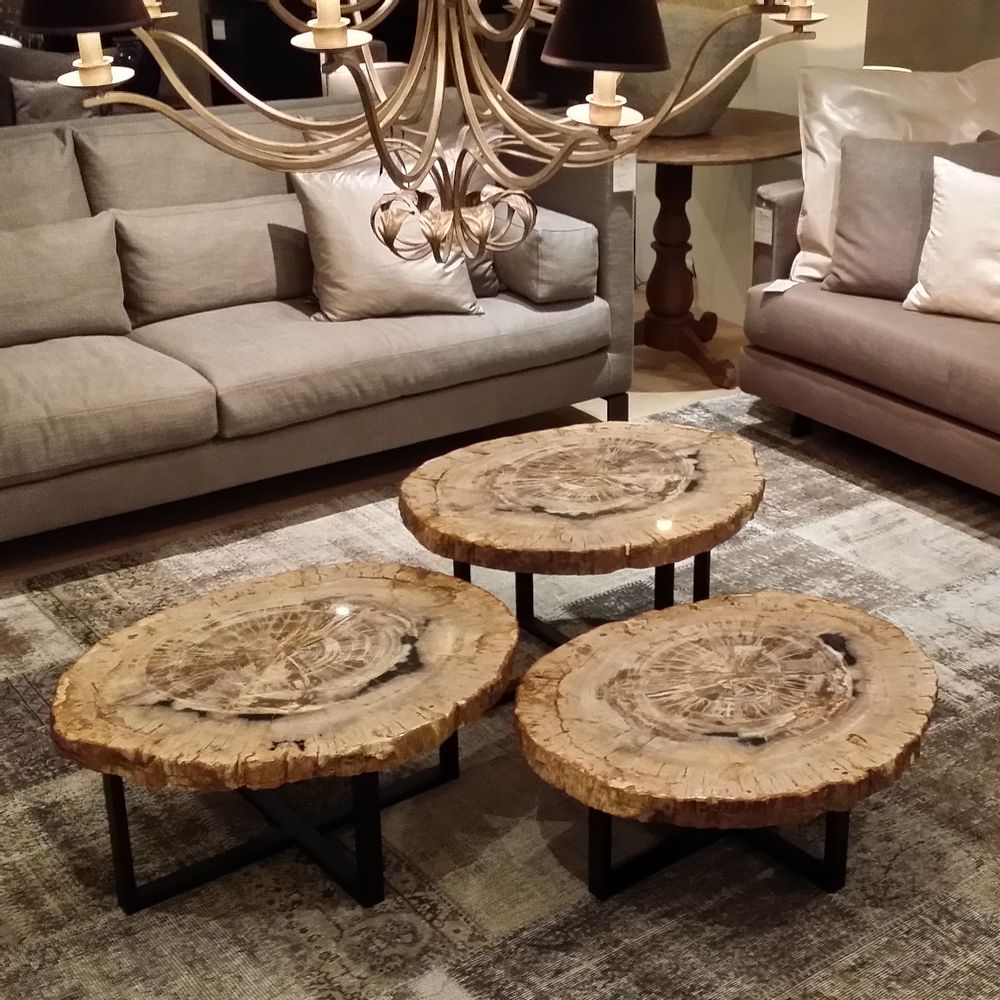 Coffee tables - PETRIFIED WOOD COFFEE TABLE - XYLEIA PETRIFIED WOOD