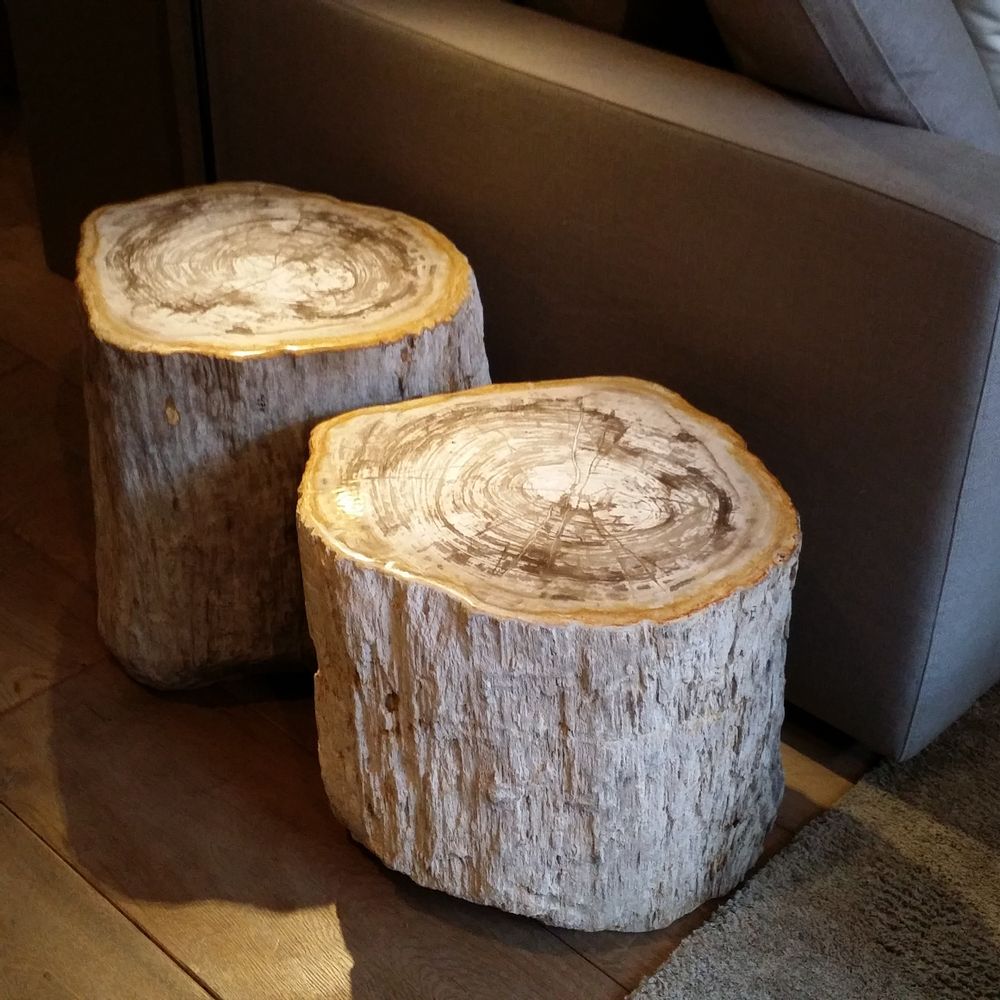 Unique pieces - Petrified wood side tables - XYLEIA PETRIFIED WOOD