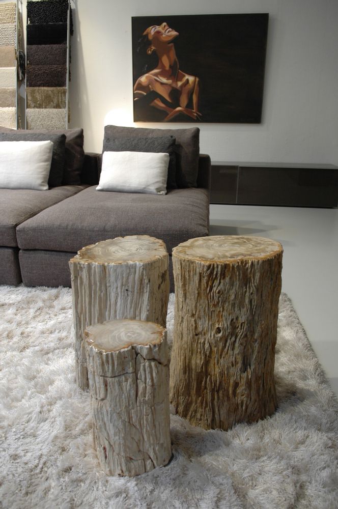 Unique pieces - Petrified wood side tables - XYLEIA PETRIFIED WOOD