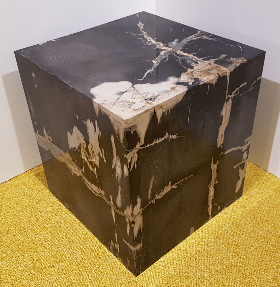 Unique pieces - Petrified wood side tables - XYLEIA PETRIFIED WOOD