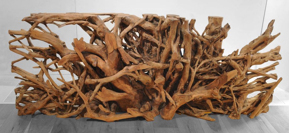 Consoles - WOOD | Consoles en bois de suar. - XYLEIA PETRIFIED WOOD