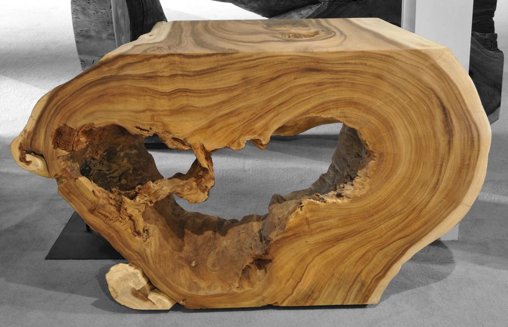 Consoles - WOOD | Consoles en bois de suar. - XYLEIA PETRIFIED WOOD