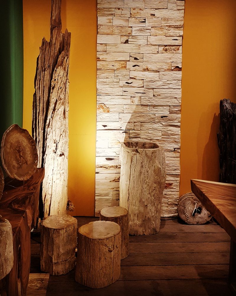 Other wall decoration - PETRIFIED WOOD | Floors and walls of petrified wood - XYLEIA PETRIFIED WOOD