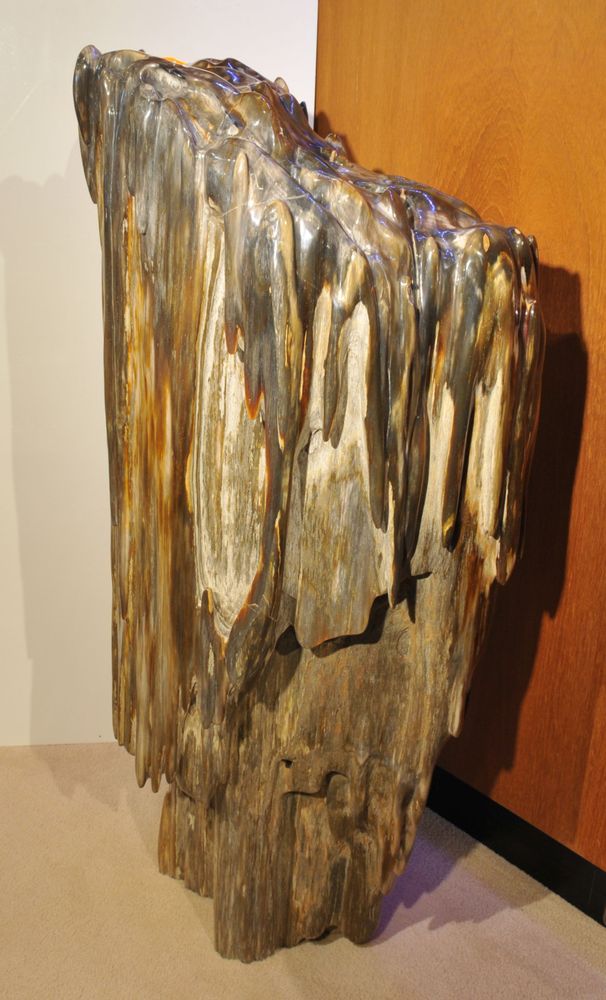 Sculptures, statuettes and miniatures - PETRIFIED WOOD | Sculptures made of petrified wood - XYLEIA PETRIFIED WOOD