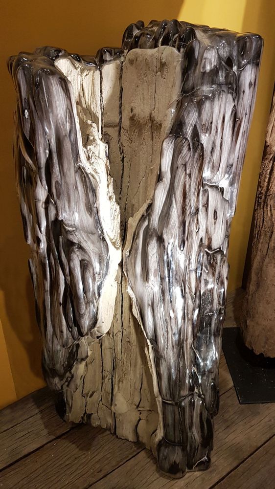 Sculptures, statuettes and miniatures - PETRIFIED WOOD | Sculptures made of petrified wood - XYLEIA PETRIFIED WOOD