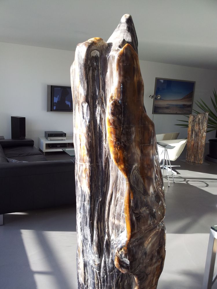 Sculptures, statuettes and miniatures - PETRIFIED WOOD | Sculptures made of petrified wood - XYLEIA PETRIFIED WOOD