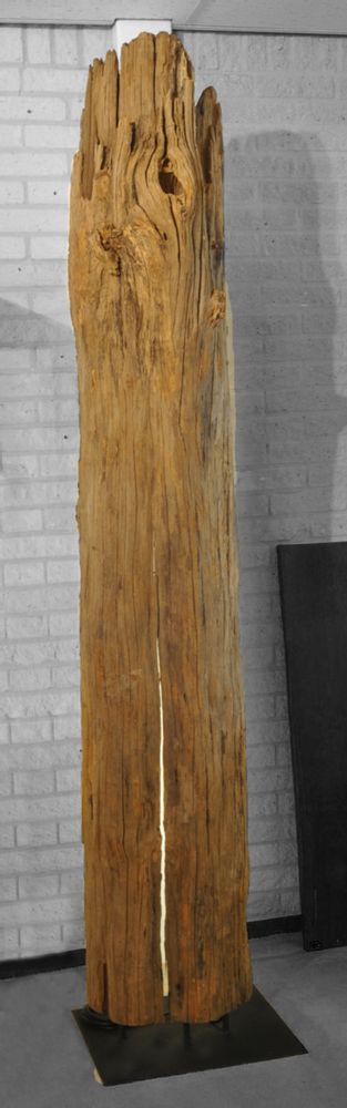 Garden built-in lighting  - WOODEN LIGHTING | Lamps made of wood - XYLEIA PETRIFIED WOOD