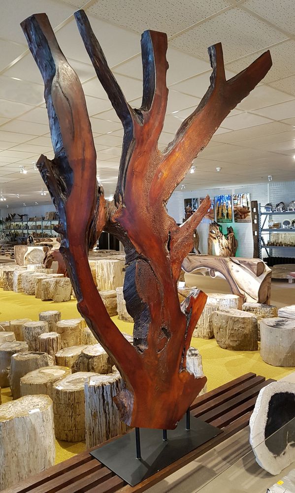 Sculptures, statuettes et miniatures - Divers produits décoratifs en bois /WOOD ART - XYLEIA PETRIFIED WOOD