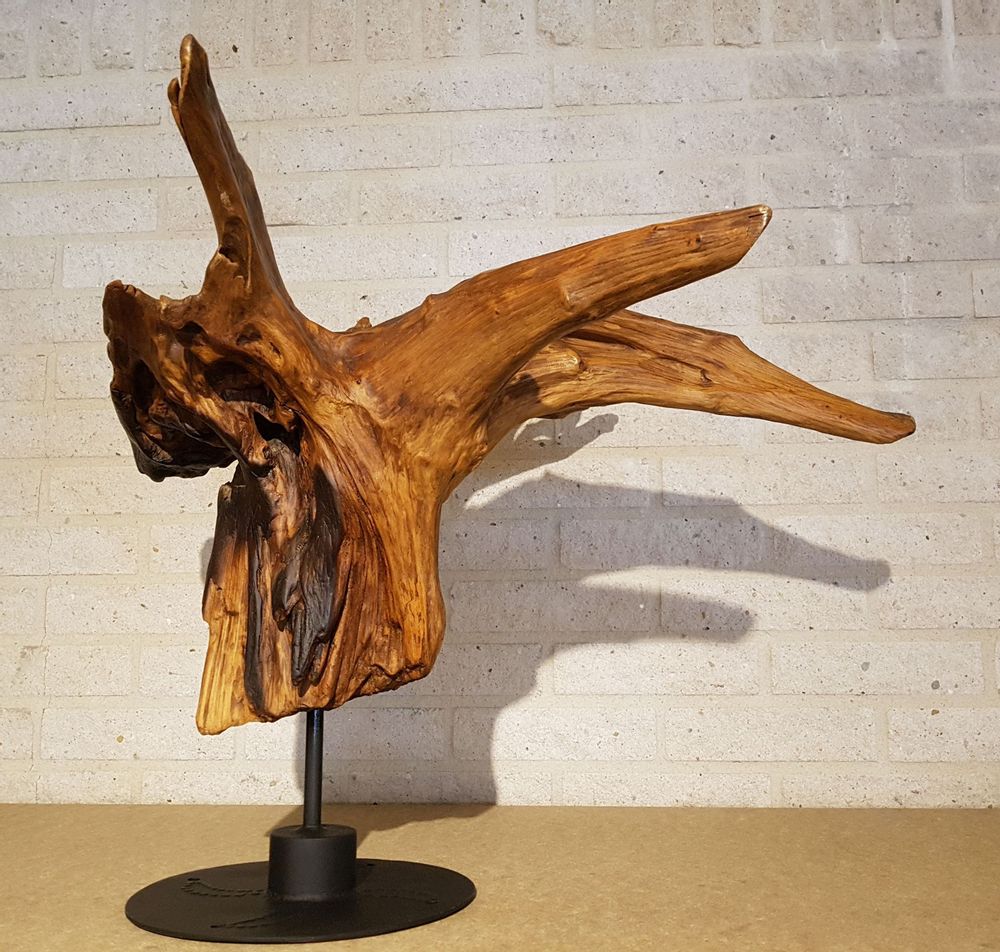 Sculptures, statuettes et miniatures - Divers produits décoratifs en bois /WOOD ART - XYLEIA PETRIFIED WOOD