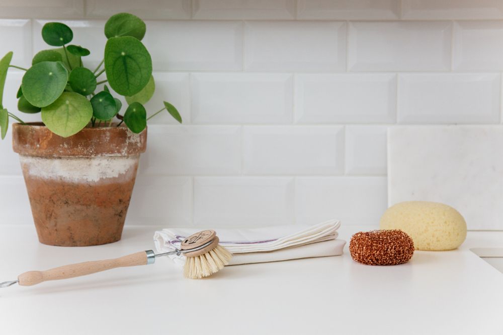 Brushes - Dishes Kit "Le Nécessaire" - ANDREE JARDIN
