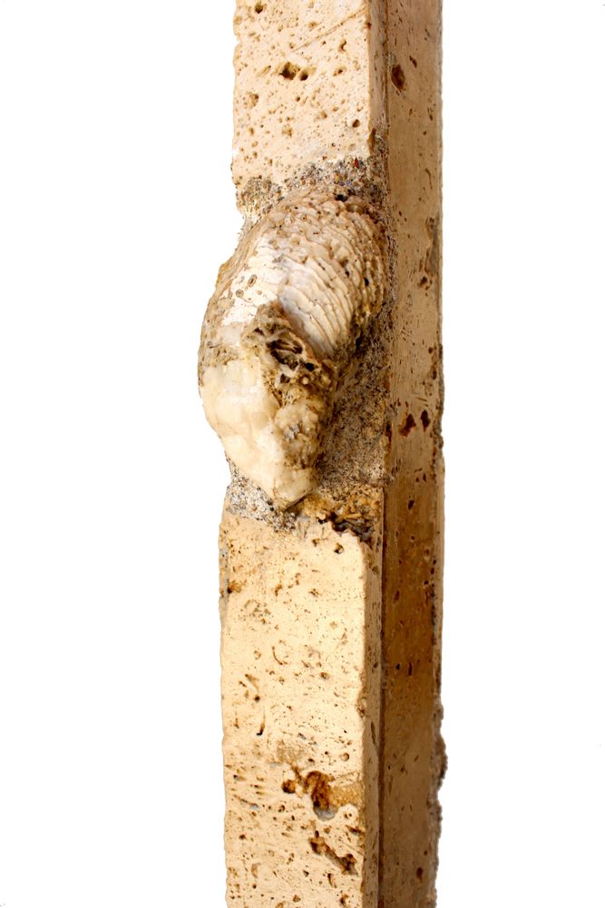 Lampadaires - Lampadaire fossile et quartz - DAMON ART