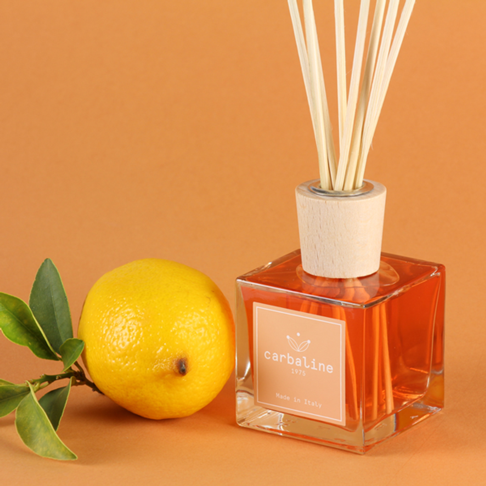 Scent diffusers - Carbaline Home Fragrance - CARBALINE