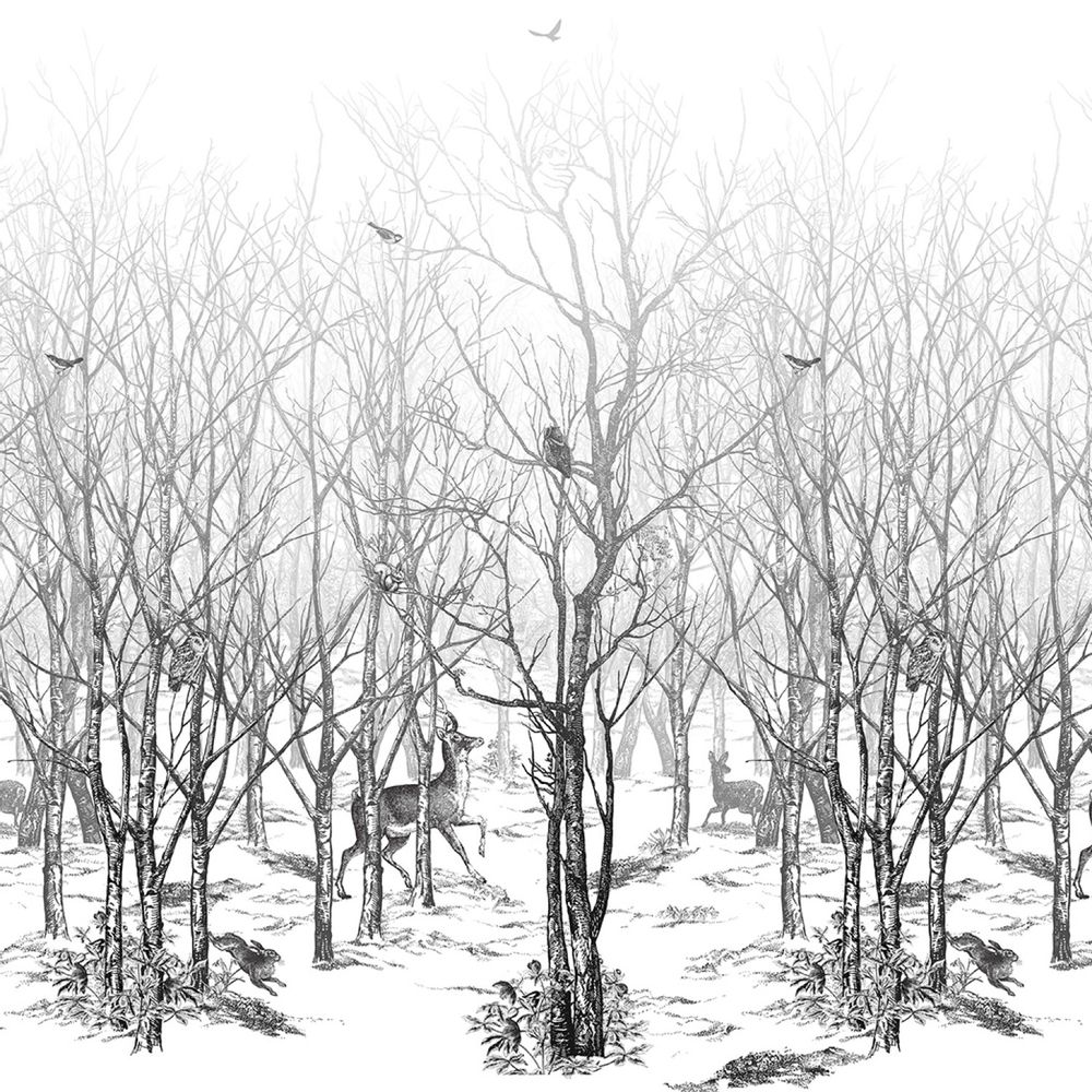 Wallpaper - Panoramic Forêt Enchantée - ISIDORE LEROY