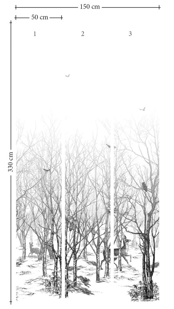 Wallpaper - Panoramic Forêt Enchantée - ISIDORE LEROY