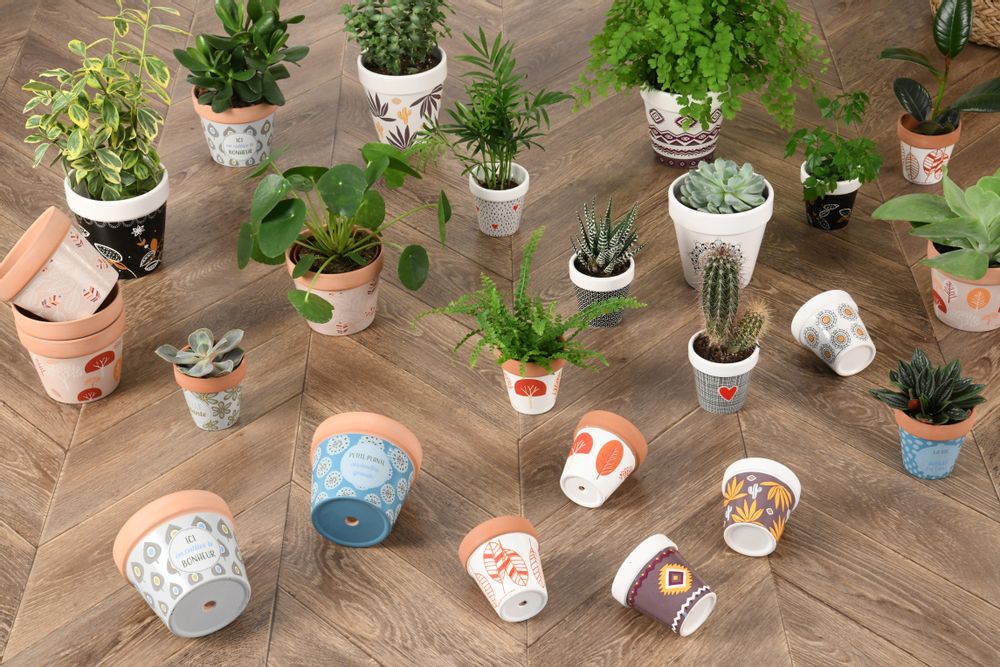 Objets de décoration - Nouvelle collection Hiver 2018 - FOX TROT