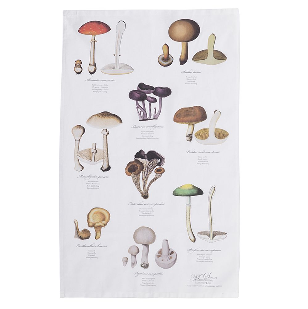 Papeterie - Les champignons et les conifères - invitent la nature à l'intérieur. - KOUSTRUP & CO