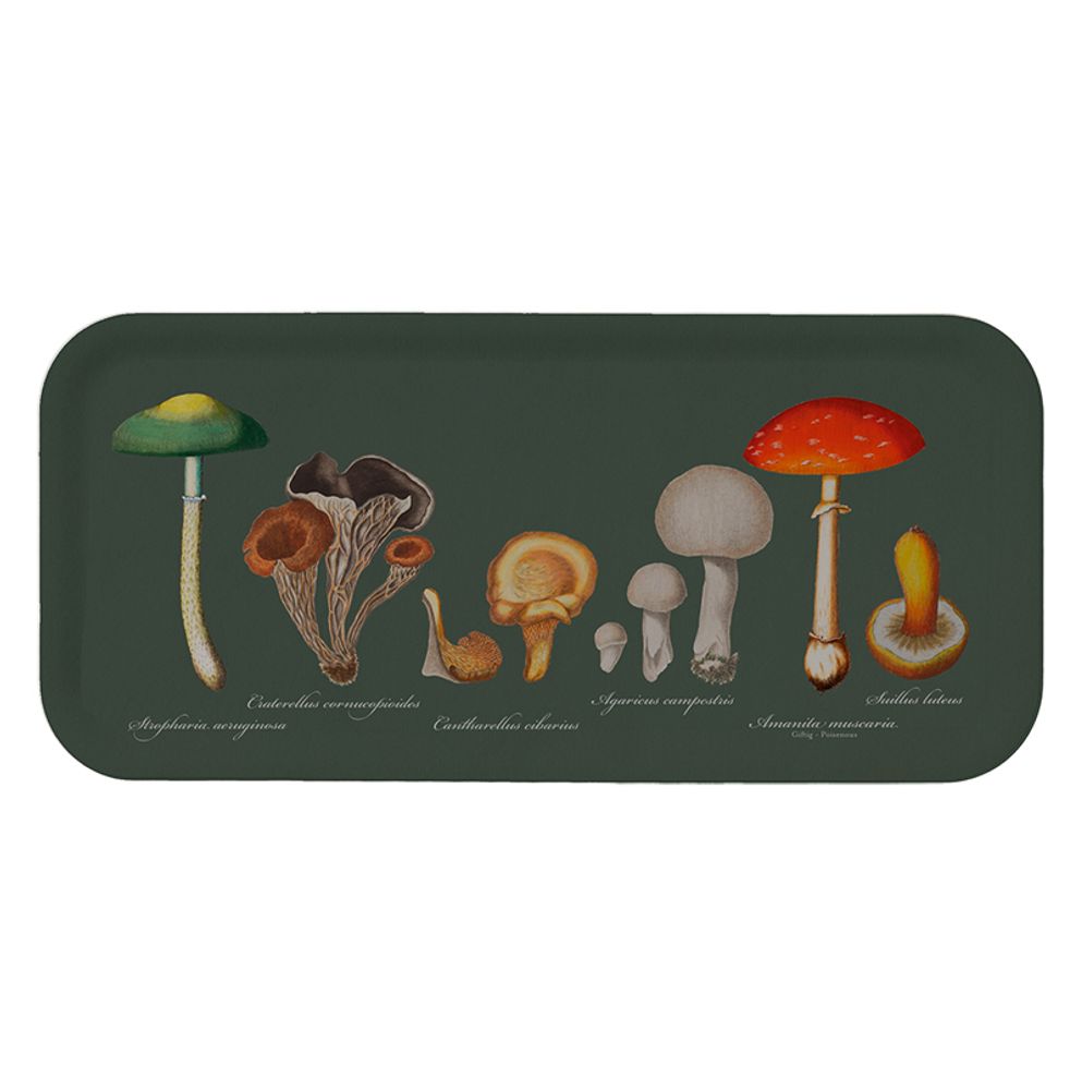 Papeterie - Les champignons et les conifères - invitent la nature à l'intérieur. - KOUSTRUP & CO