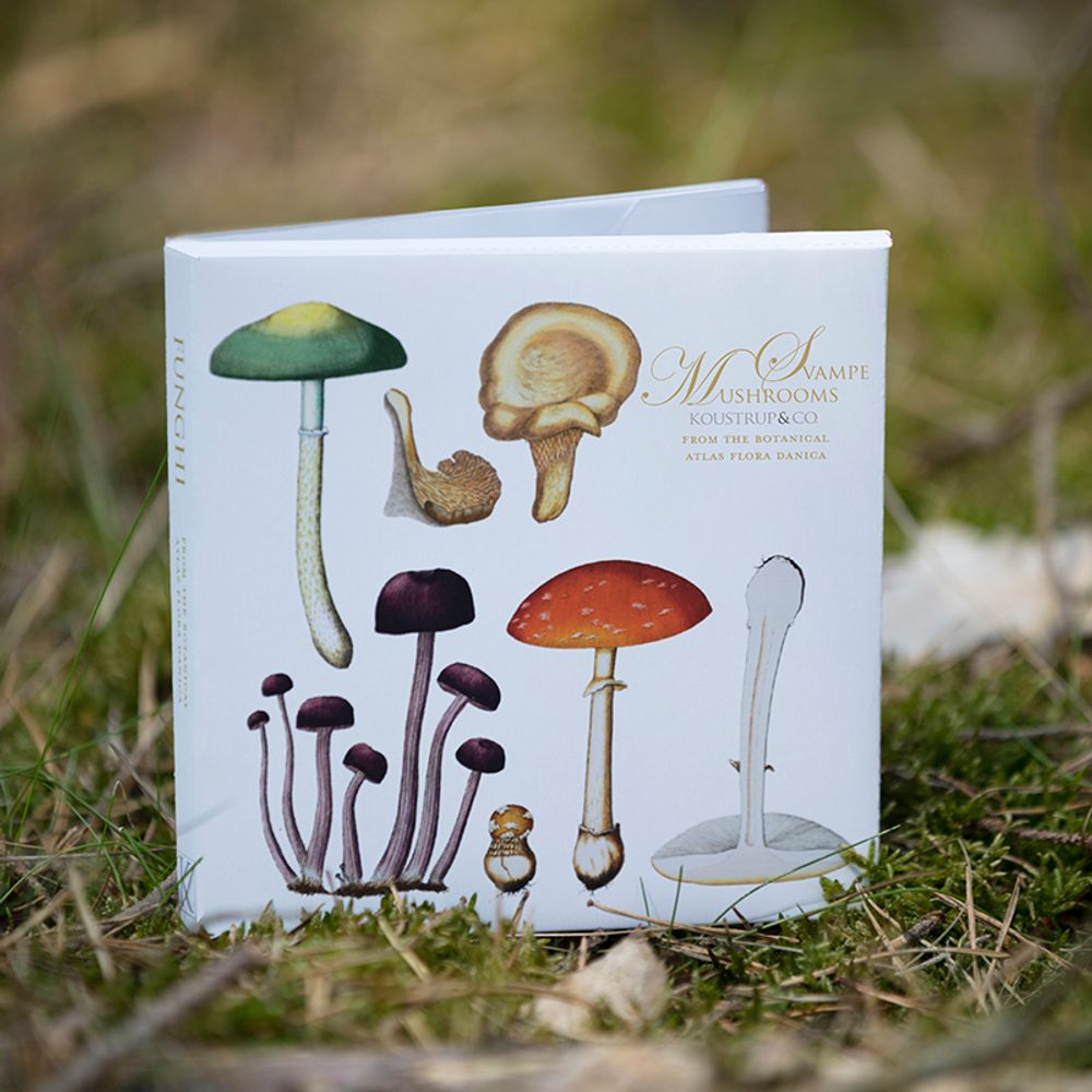 Papeterie - Les champignons et les conifères - invitent la nature à l'intérieur. - KOUSTRUP & CO