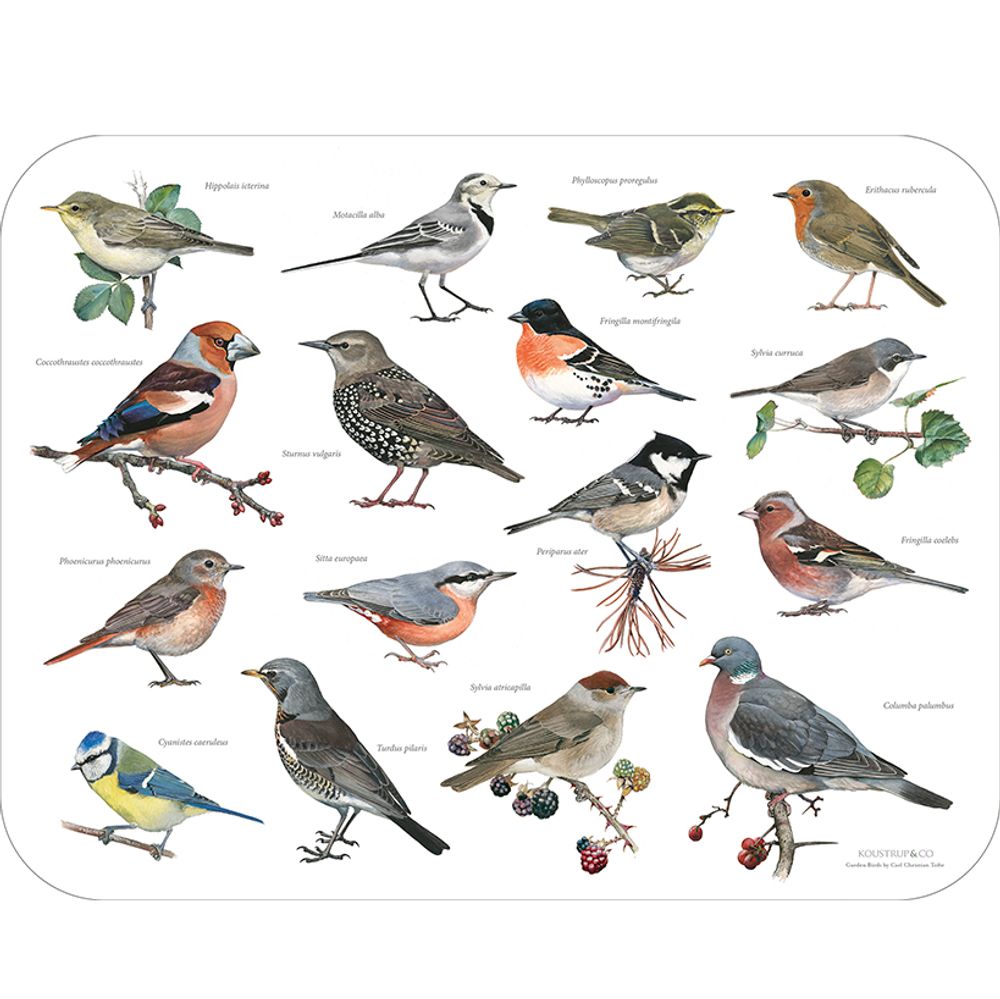 Tea towel - Gardenbirds - KOUSTRUP & CO