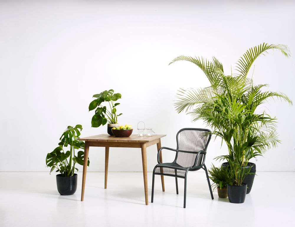 Lawn chairs - Loop dining chair - VINCENT SHEPPARD