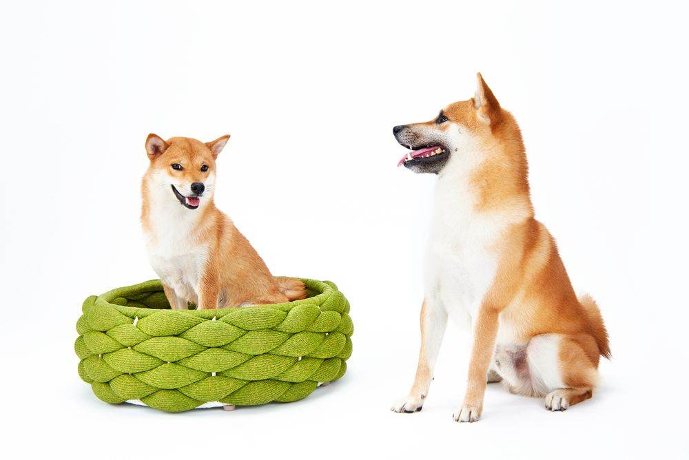Fabric cushions - Design dog bed RIVA - LABONI