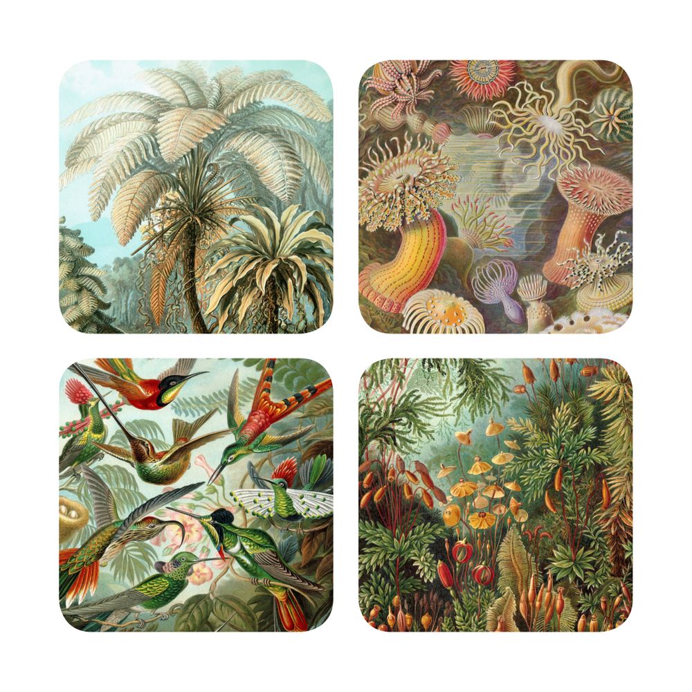 Tasses et mugs - Jay - Haeckel - CUBIC PRODUCTS