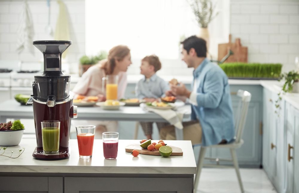 Small household appliances - Hurom Slow Juicer H-100 - WISMER