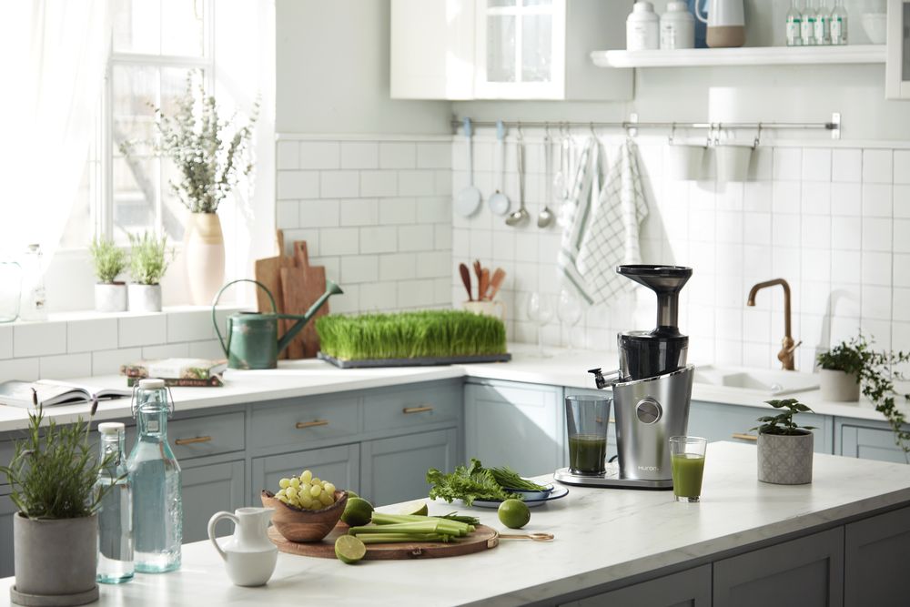 Small household appliances - Hurom Slow Juicer H-100 - WISMER