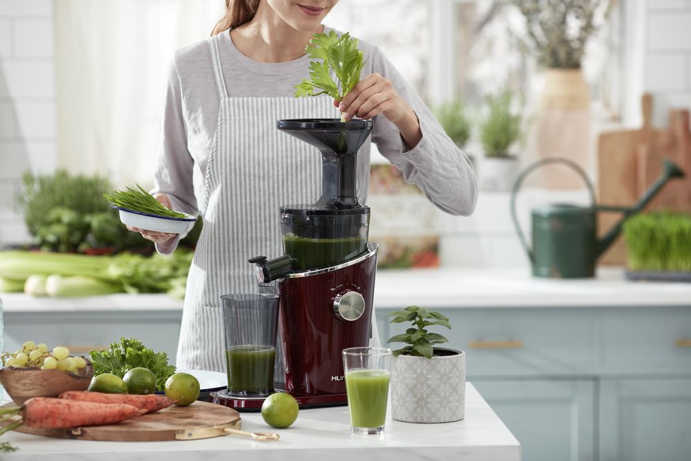 Small household appliances - Hurom Slow Juicer H-100 - WISMER