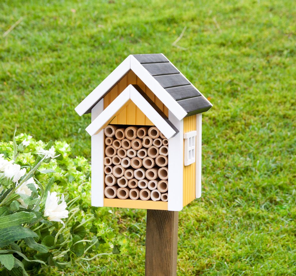 Accessoires de jardinage - Abri pour abeilles jaune - WILDLIFE GARDEN