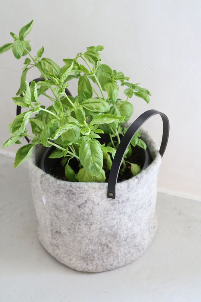 Decorative objects - Cache pot XL - HL HELOISE LEVIEUX