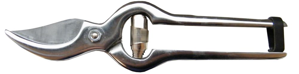 Ustensiles de cuisine - Poultry shears LOCAU - COUTELLERIE LOCAU