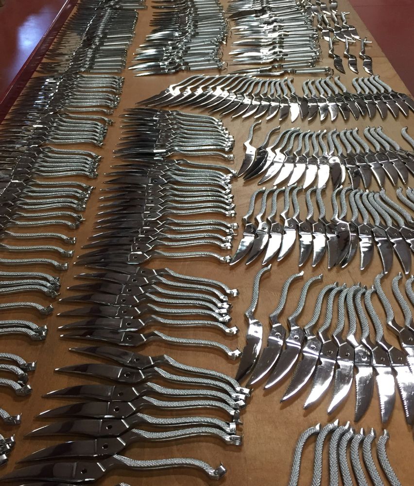 Ustensiles de cuisine - Poultry shears LOCAU - COUTELLERIE LOCAU