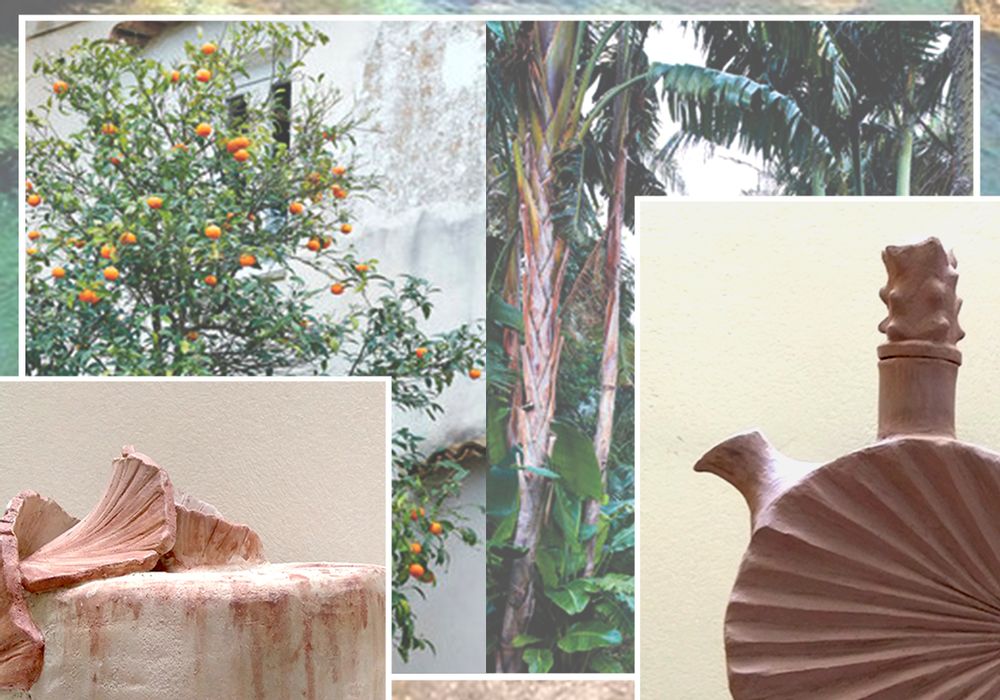Céramique - Ischia Botanic Garden Centerpiece - TAFURI LABORATORIO CERAMICA