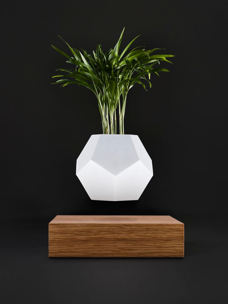 Objets design - FLYTE LYFE Jardin flottant - FLYTE