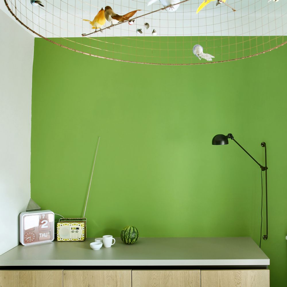 Paints and varnishes - Coatings Decorative Paints - MERCADIER TEINTES ET MATIÈRES