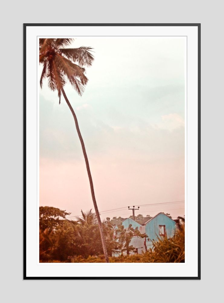 Other wall decoration - Palm Blue House - GALERIE PRINTS